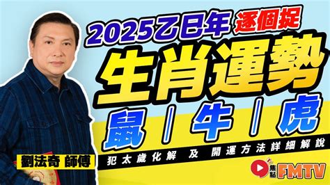 乙巳年生肖|2025年生肖運勢解析出爐！乙巳靈蛇年屬狗、屬猴好運難擋 